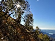 Rifugio Rosalba (1730 m) con Colle Garibaldi (1824 m) in autunnale ad anello il 28 ottobre 2020 - FOTOGALLERY